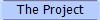 The Project